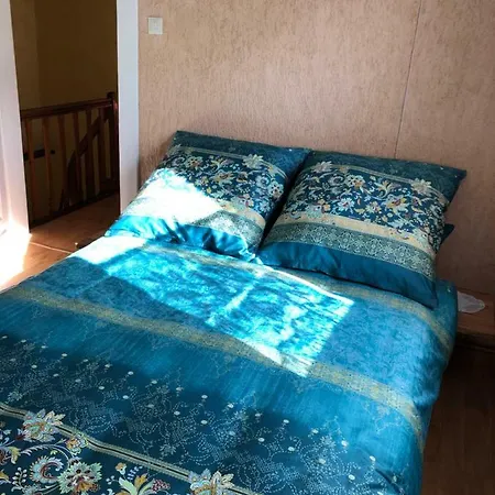 Paulusstrasse 3 別荘 エディガー・エラー